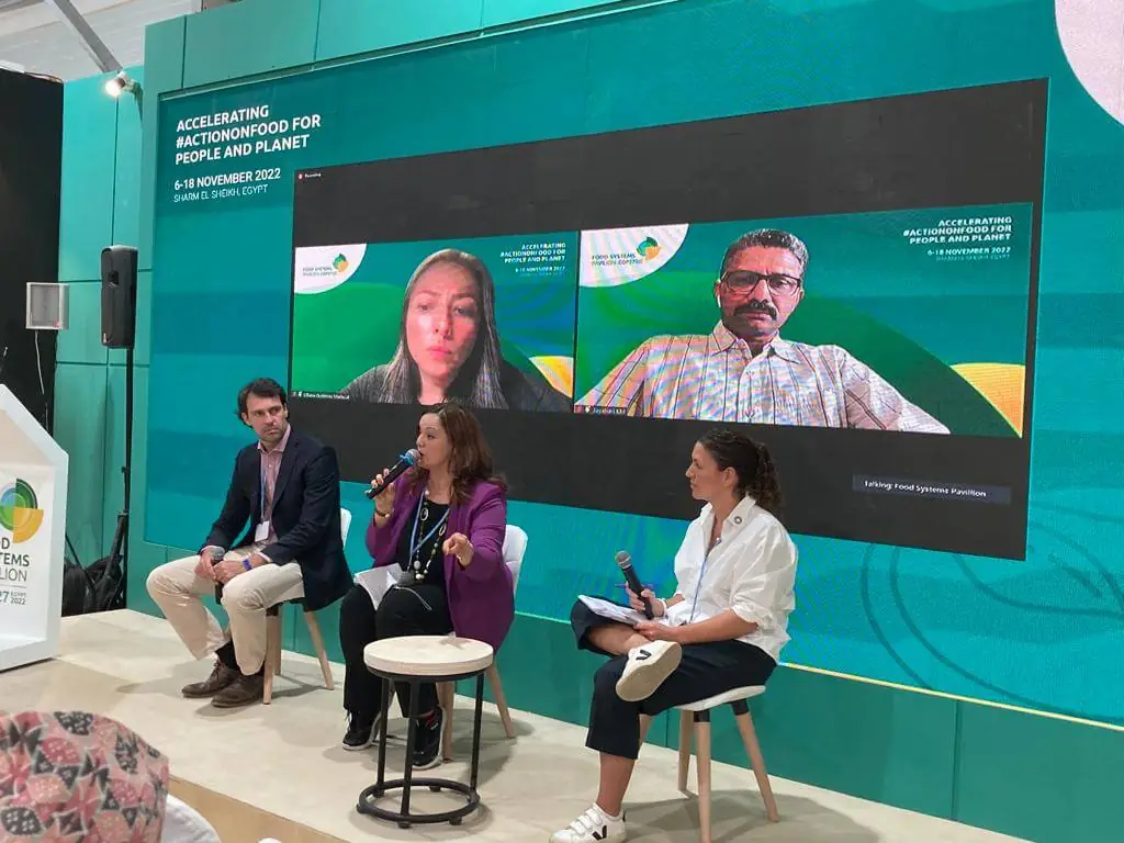 COP27 mostra que é possível evitar o desmate de 11 milhões de ha