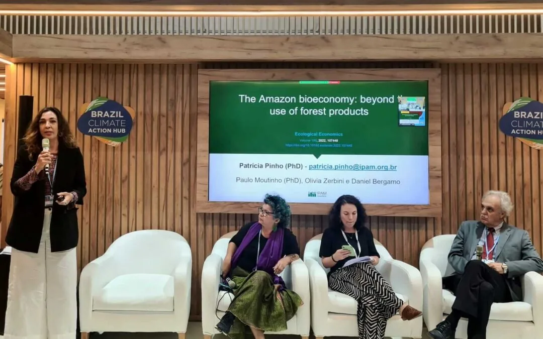 Pesquisadores indicam potencial da bioeconomia para a Amazônia