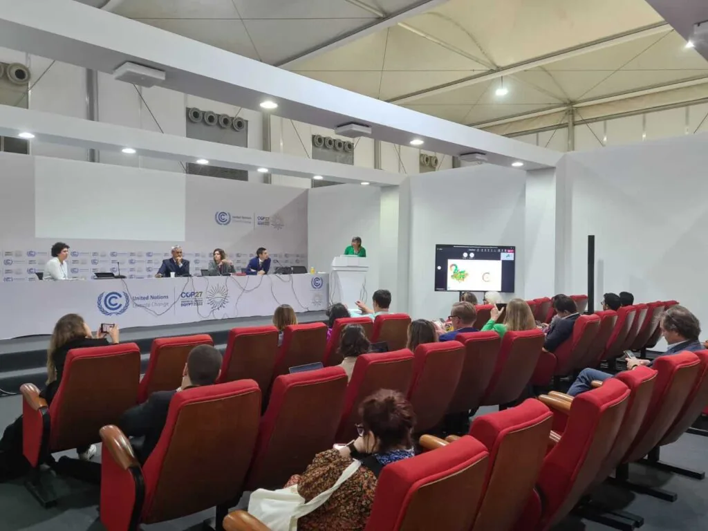 Durante o painel, a diretora de Ciência do IPAM, Ane Alencar, apresentou um panorama da destruição de florestas no país. Foto: Marcelo Freitas/IPAM