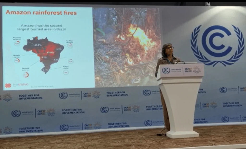 Alencar apontou que dados de fogo são alarmantes e distanciam Brasil de suas metas firmadas no Acordo de Paris. Foto: Divulgação/IPAM