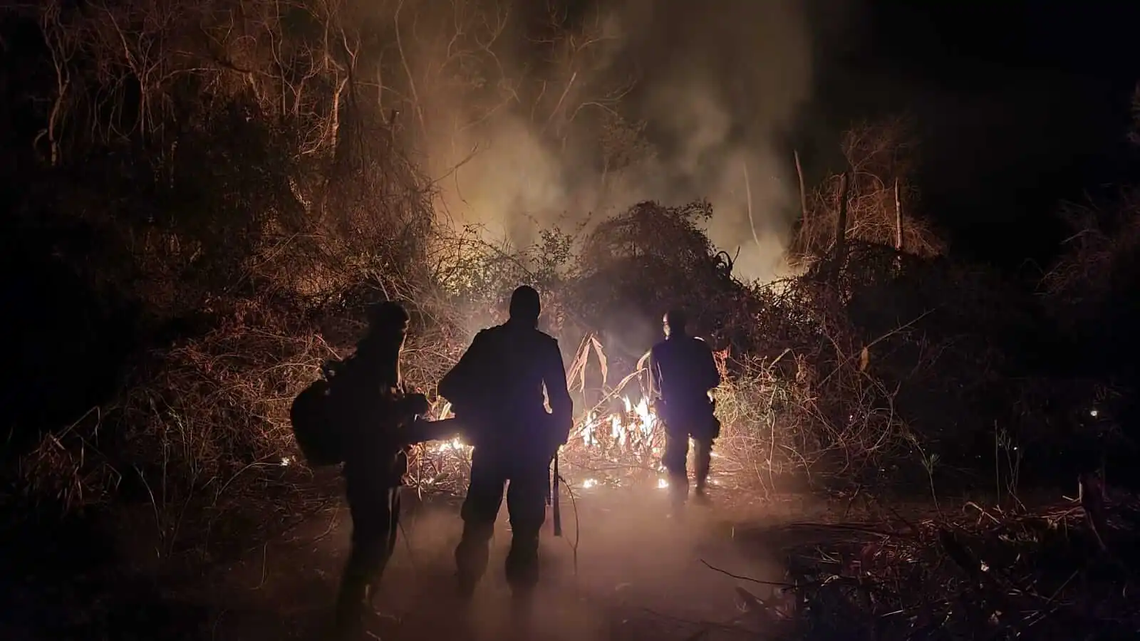 Emissões por desmatamento crescem 20% no Brasil