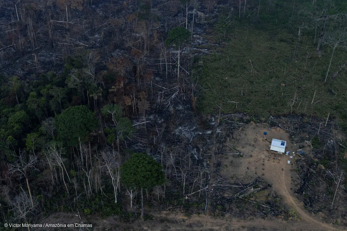 Human activity has degraded more than a third of the remaining Amazon