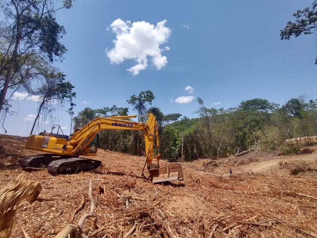 Foto: Juan Doblas/IPAM