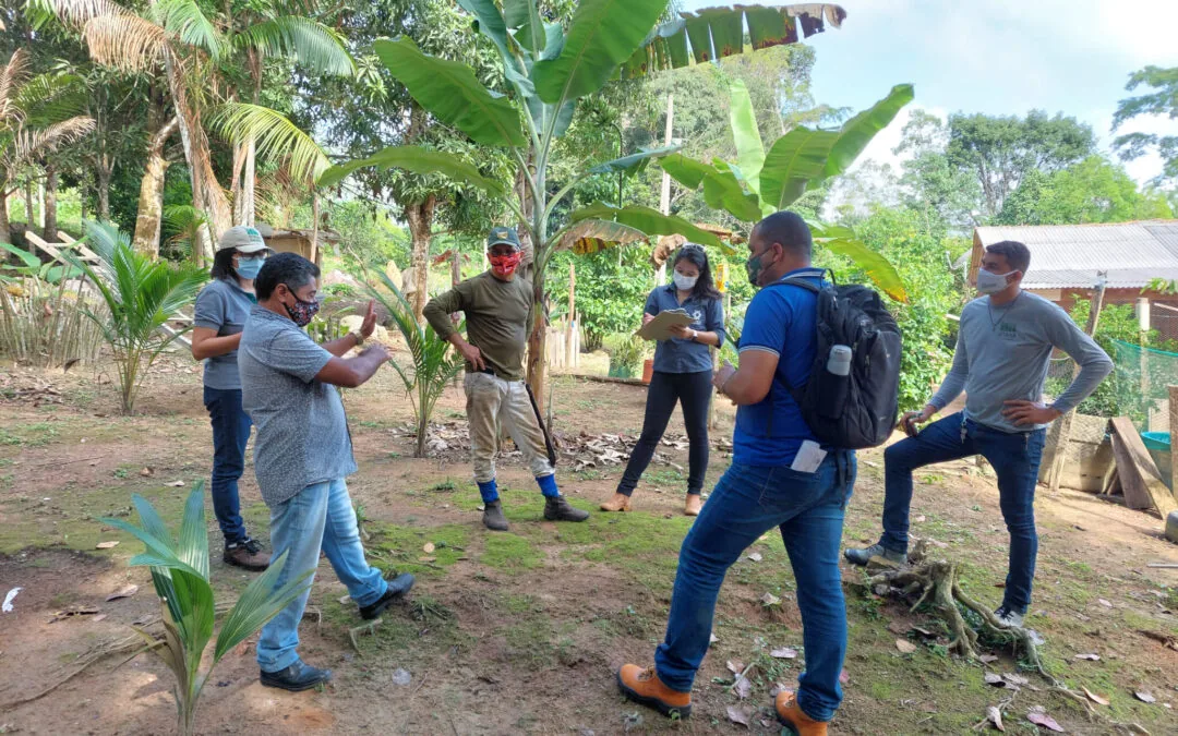 Projeto de recuperação de áreas produtivas beneficia mais de 90 famílias