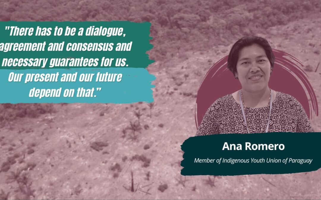 The EU-Mercosur agreement should guarantee the future of indigenous peoples