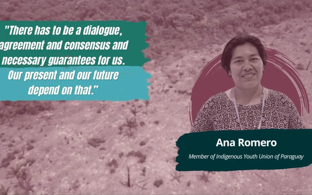 The EU-Mercosur agreement should guarantee the future of indigenous peoples