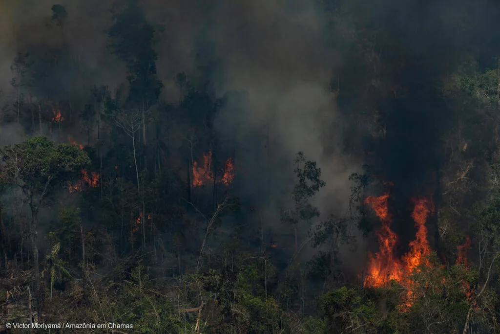 Amazônia em chamas (Foto: Victor Moriyama)