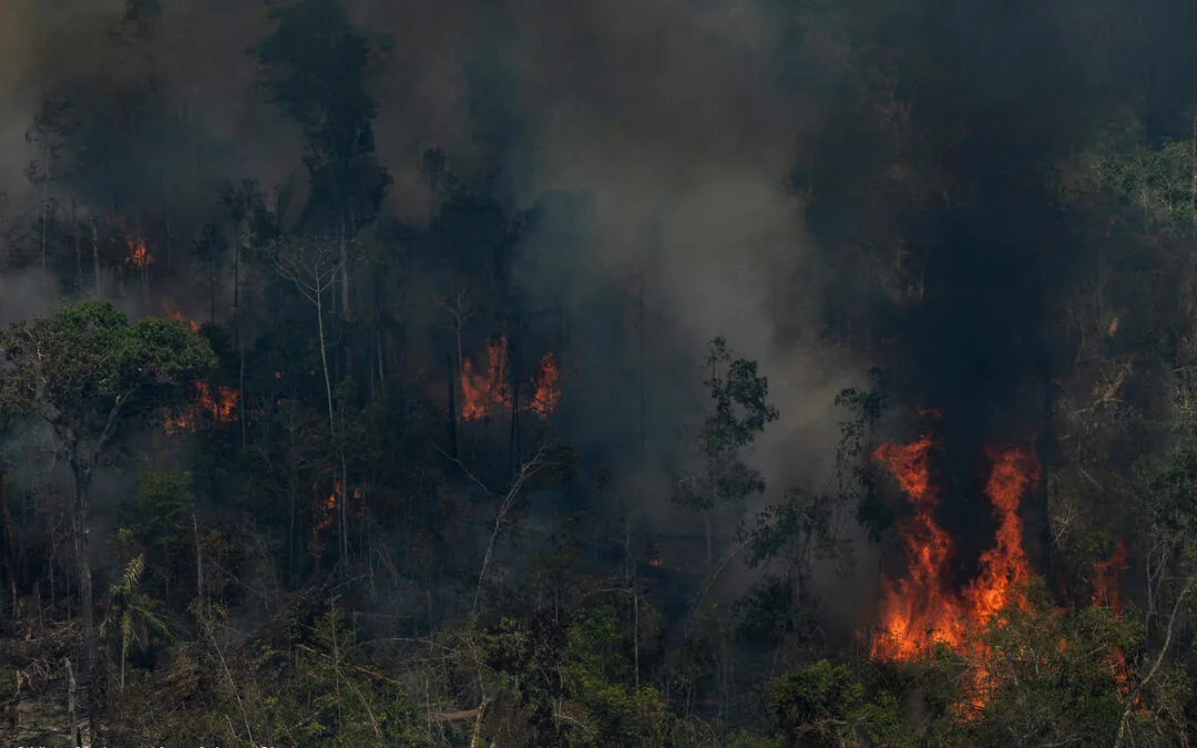 IPAM e parceiros buscam soluções para o desmatamento na Amazônia