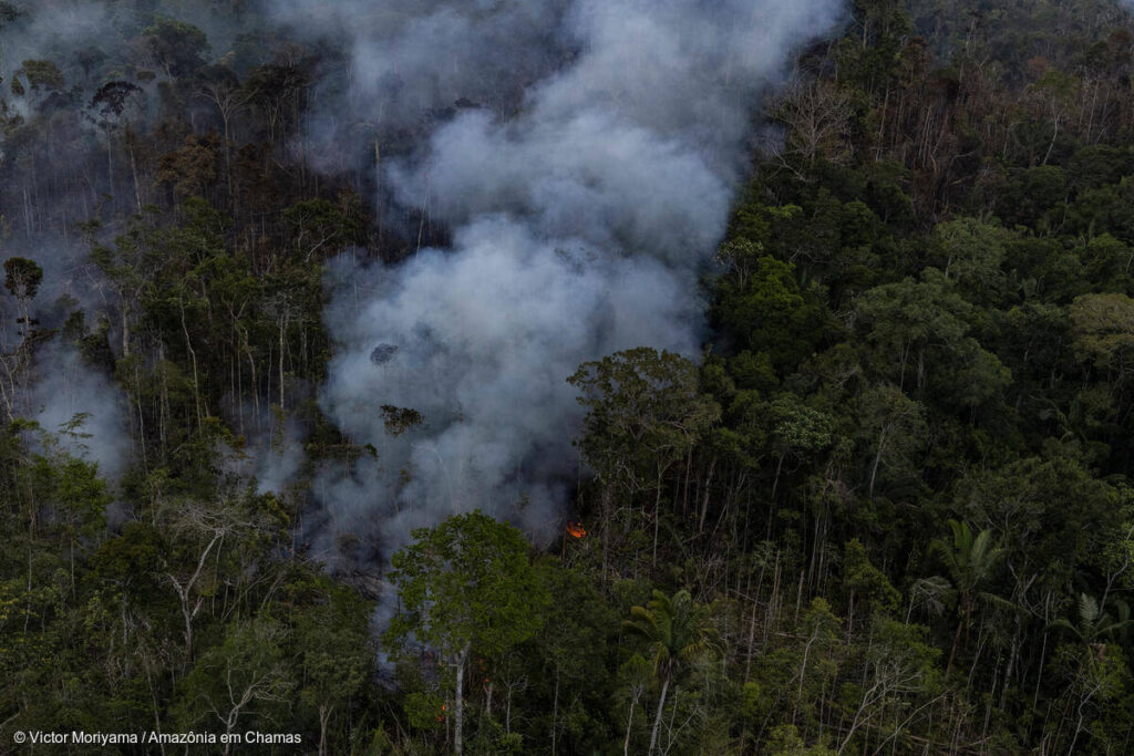 Sobrevoo na Amazônia (Foto: Victor Moriyama)