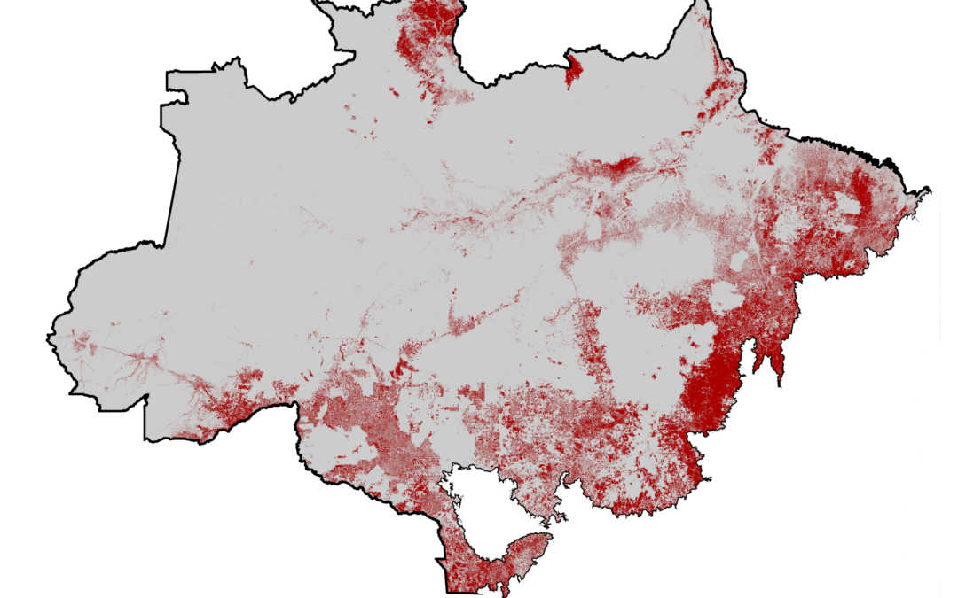 Amazônia queima mais de “duas Bélgicas” por ano desde 1985