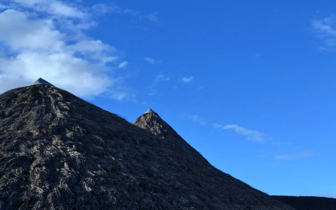 Homologação de TIs guarda carbono igual a 20% das emissões do Brasil