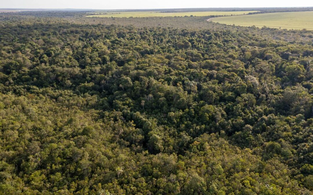 CONSERV fecha contrato de conservação de 2.200 hectares com AMAGGI