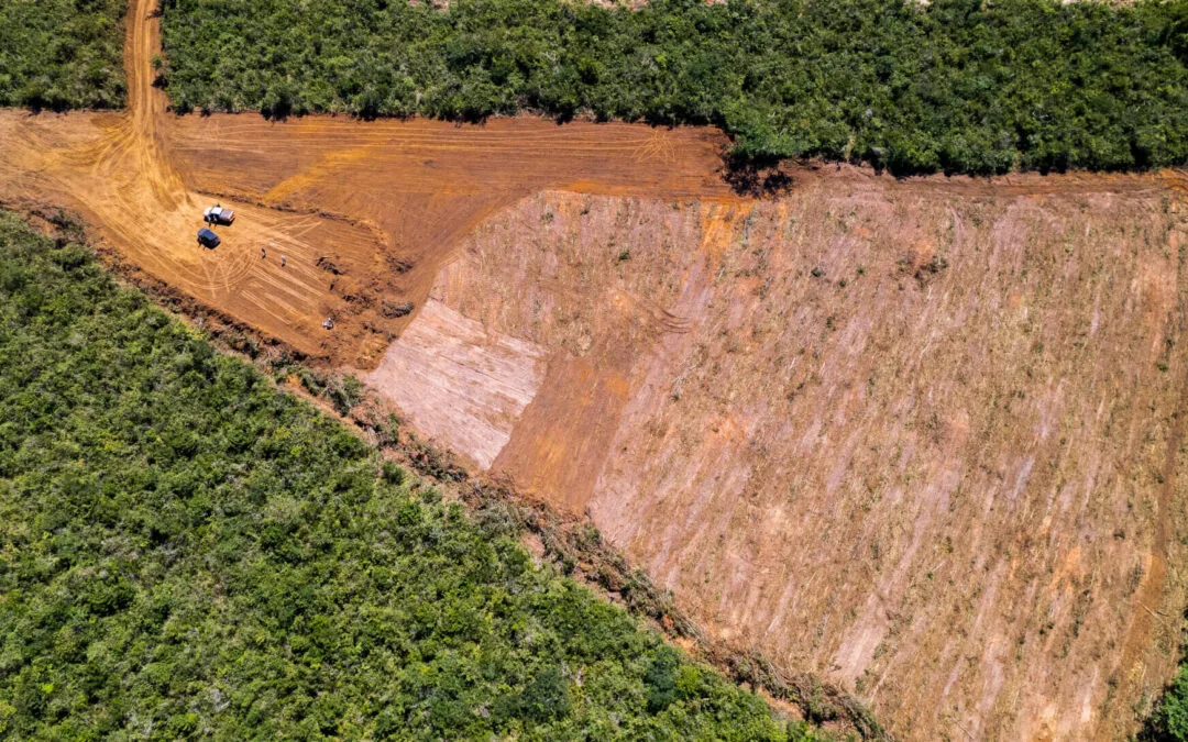 Desmatamento faz Cerrado perder duas vezes a área da cidade do Rio de Janeiro