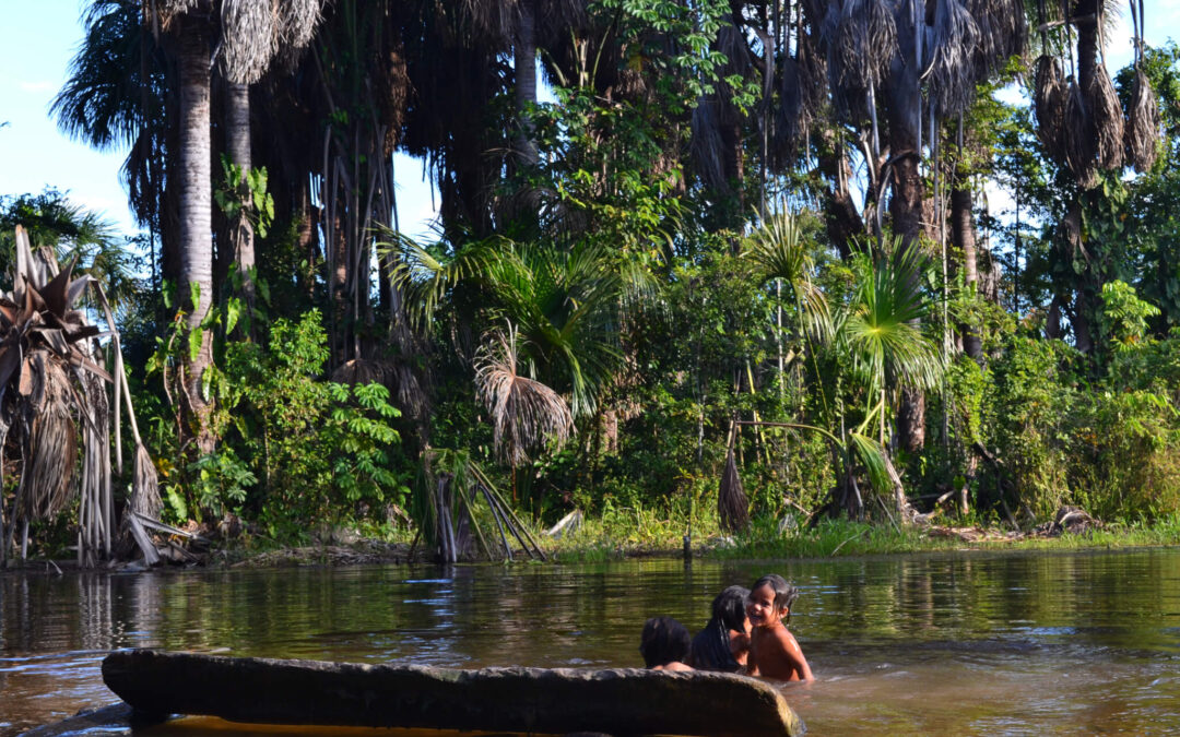 Indígenas têm duas vezes mais chances de morrer em incêndios florestais