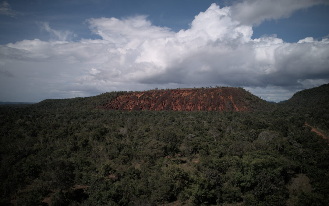 Queda no desmatamento da Amazônia é alento, mas situação do Cerrado preocupa