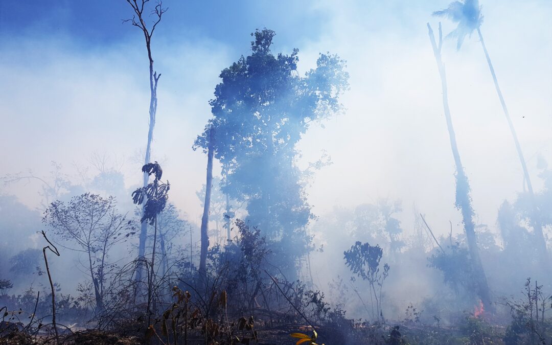 Fogo queimou quase 200 milhões de hectares do Brasil nos últimos 39 anos