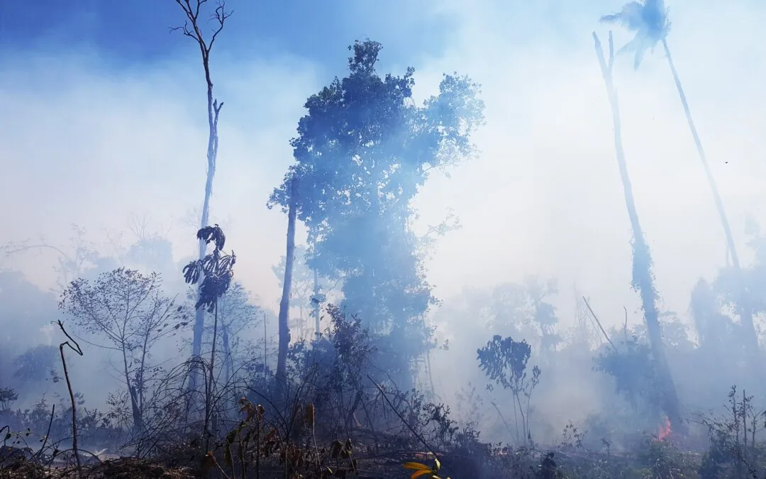Fogo queimou quase 200 milhões de hectares do Brasil nos últimos 39 anos
