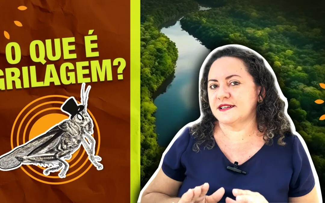 Land Grabbing, One of the Main Causes of Deforestation in Brazil