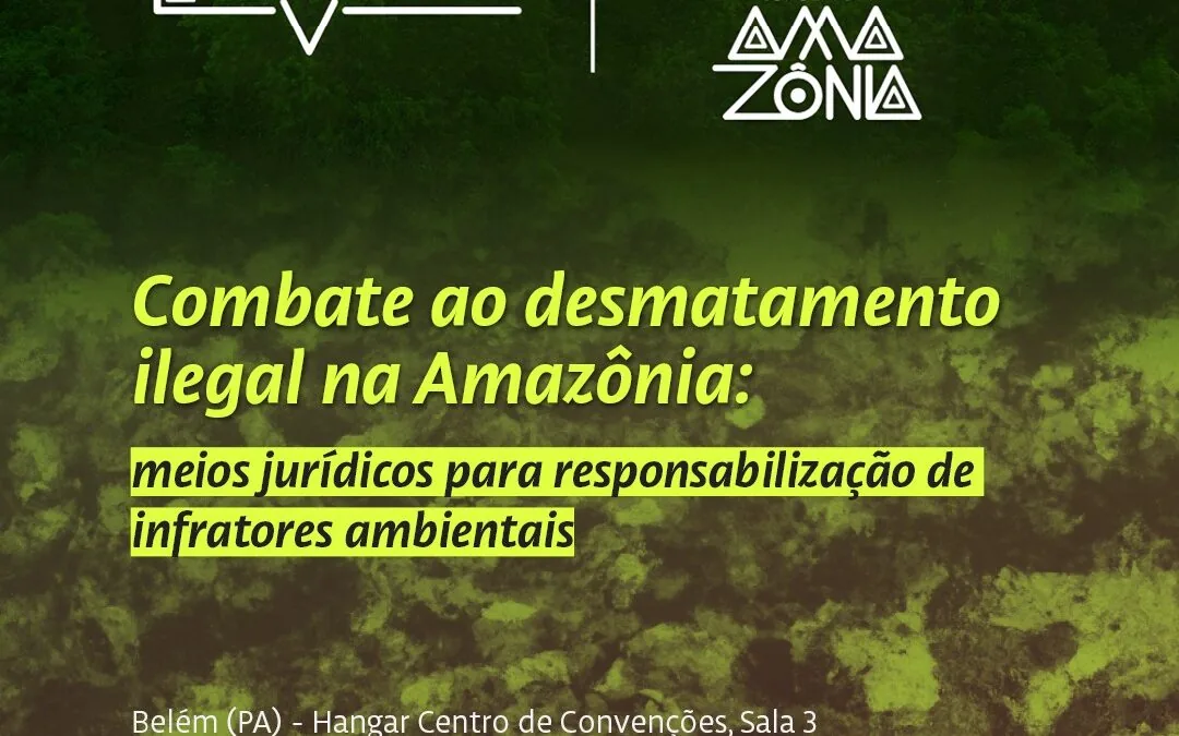 Especialistas discutem como responsabilizar infratores ambientais