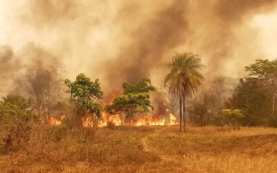 Registro do povo Tapirapé de incêndio na terra indígena Urubu Branco em setembro de 2019 (Reprodução)