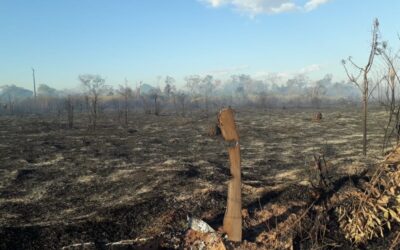 Área depois do fogo, em setembro de 2019, na TI Urubu Branco (Reprodução)