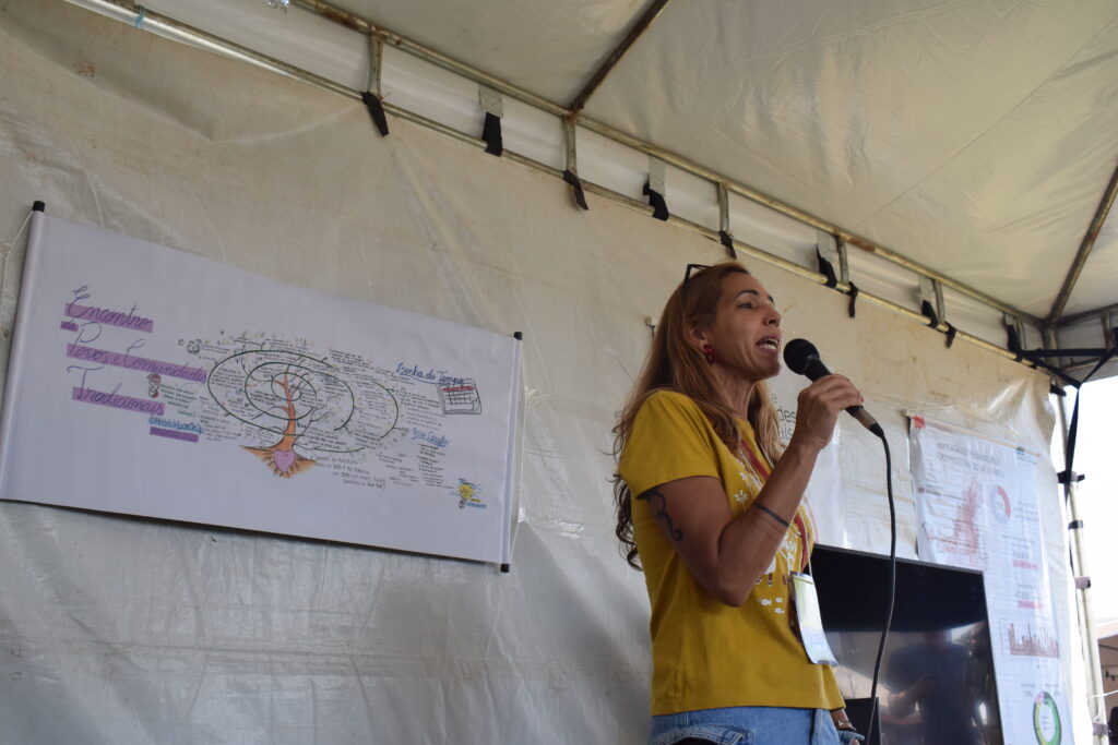 Isabel Castro, pesquisadora no IPAM e coordenadora do Tô no Mapa apresentou iniciativa.