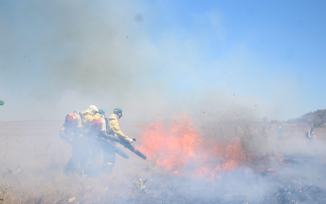 Brigadistas Kalungas contribuem para transformar manejo do fogo no Cerrado