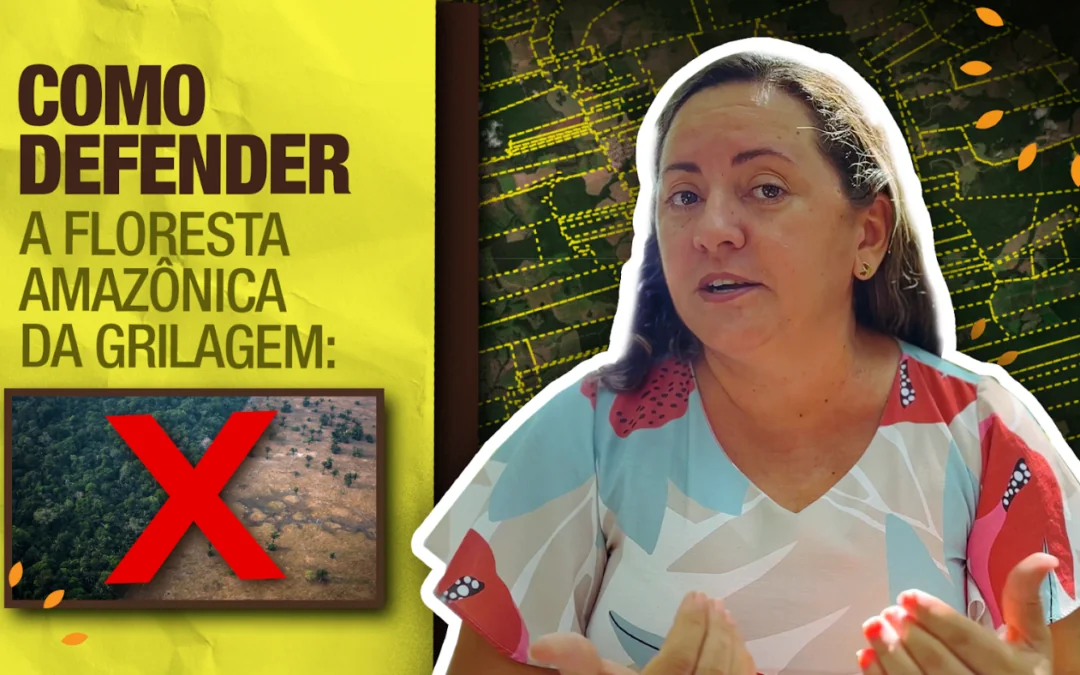 5 Measures to Combat Land Grabbing in the Amazon