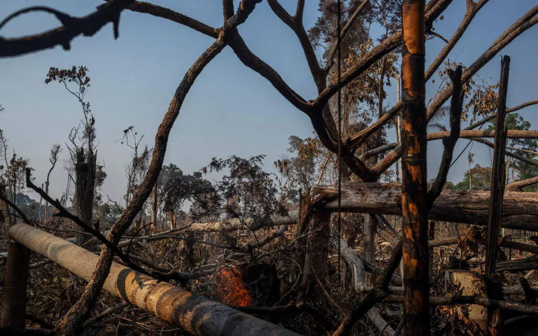 Fogo descontrolado na Amazônia ameaça ganhos e proteção ambiental