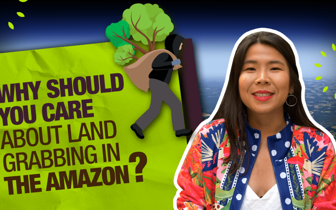 Recursos e rastreio: como o mundo pode ajudar a frear a grilagem na Amazônia