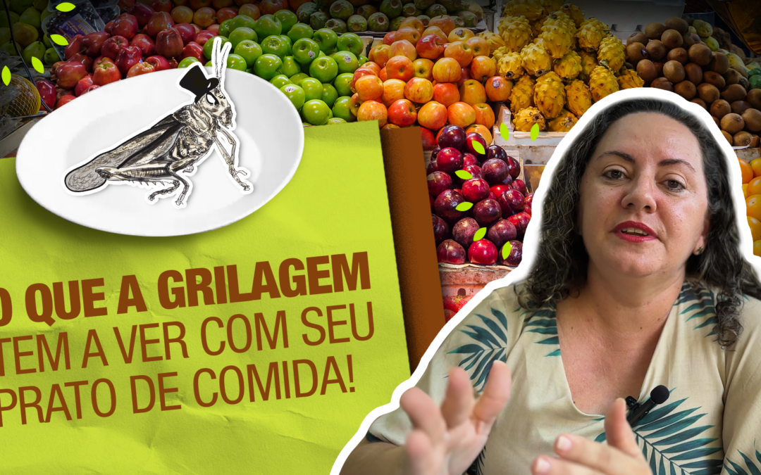 Acabar com a grilagem é vital para a segurança alimentar
