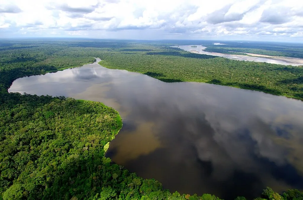Estudo comprova que criar áreas protegidas diminui fogo na Amazônia