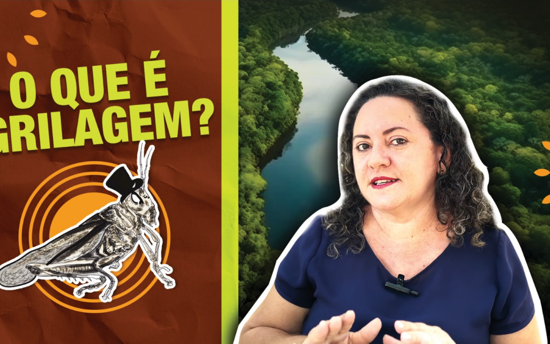 IPAM disponibiliza série completa do Amazoniar sobre grilagem na Amazônia