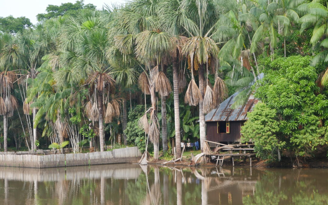 Com apoio técnico do IPAM, PL que criminaliza fraude no CAR avança no Senado