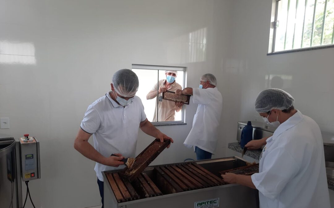 Apicultores de Mato Grosso recebem capacitação na Casa do Mel