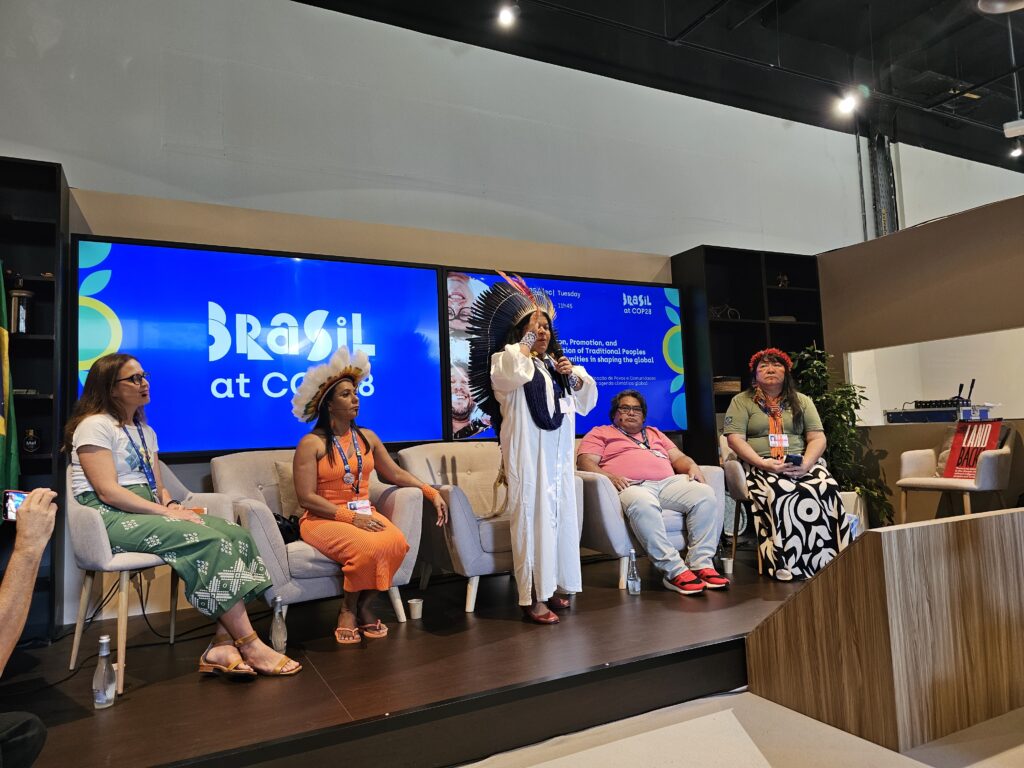 A ministra dos Povos Indígenas, Sônia Guajajara.