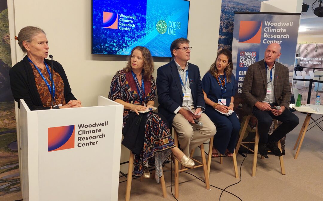 COP28: CONSERV é uma solução financeira para reduzir desmatamento