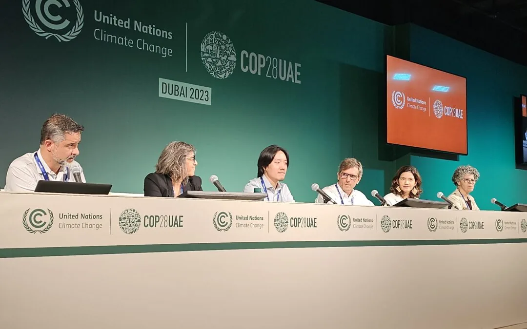 COP28: “Nós não deveríamos desistir do Cerrado”, diz Ane Alencar