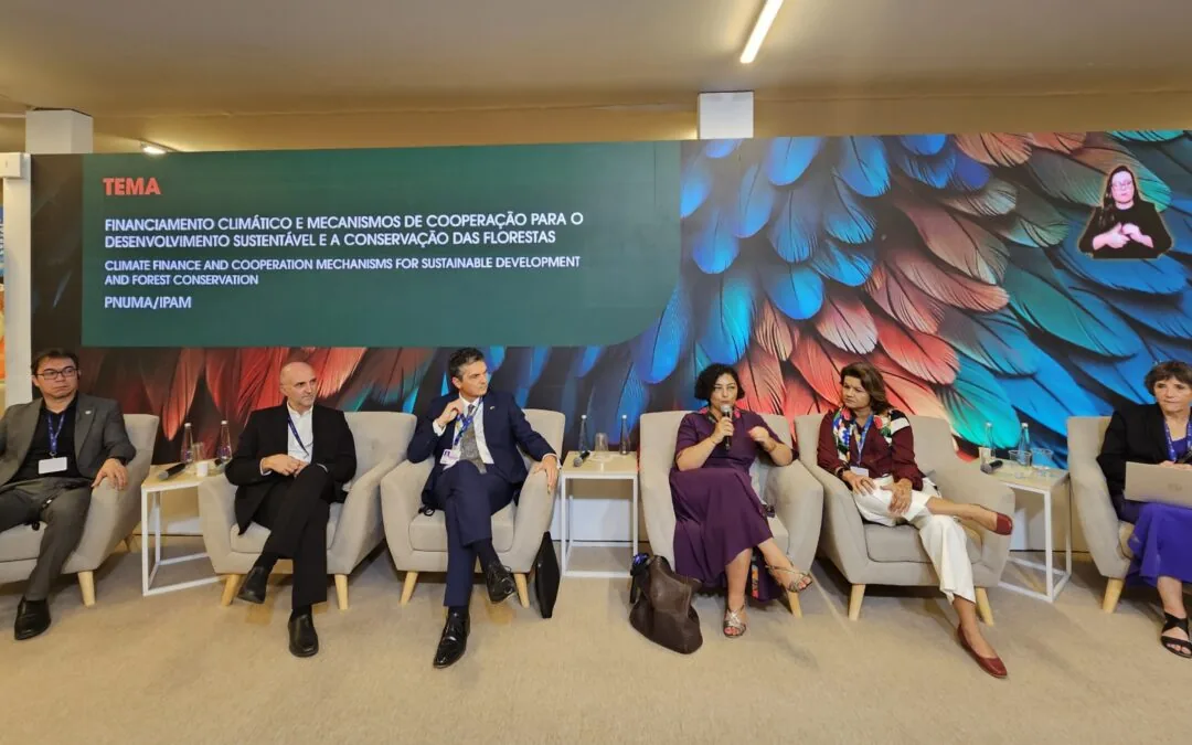 COP28: financiamento climático tem desafios que superam a oferta de dinheiro 