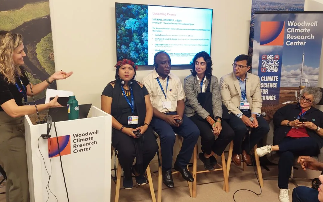 COP28: Ciência deve convergir as diferentes visões sobre conservação