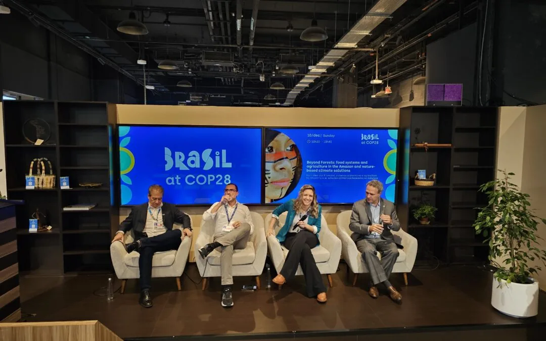 COP28: sistemas alimentares precisam de soluções para além de preservar florestas