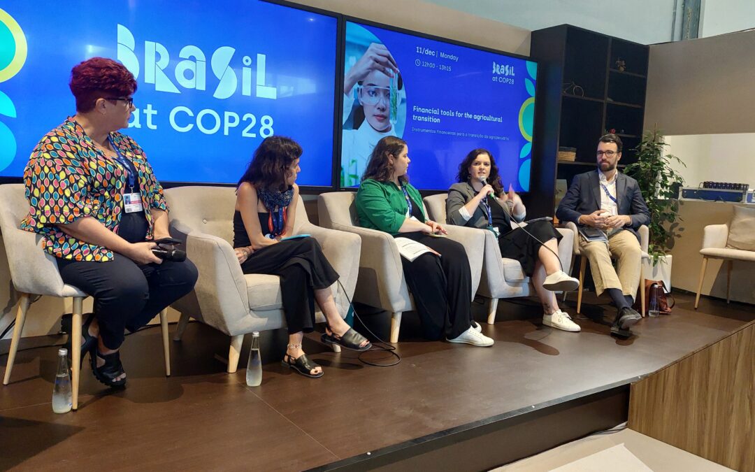 COP28: Transição da agropecuária passa por mecanismos financeiros