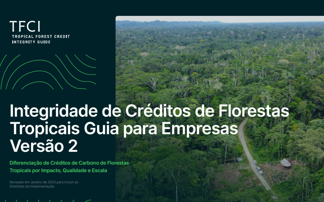 Transações de carbono florestal devem garantir integridade de crédito 