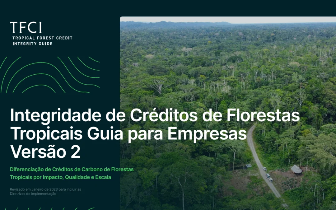 Transações de carbono florestal devem garantir integridade de crédito 