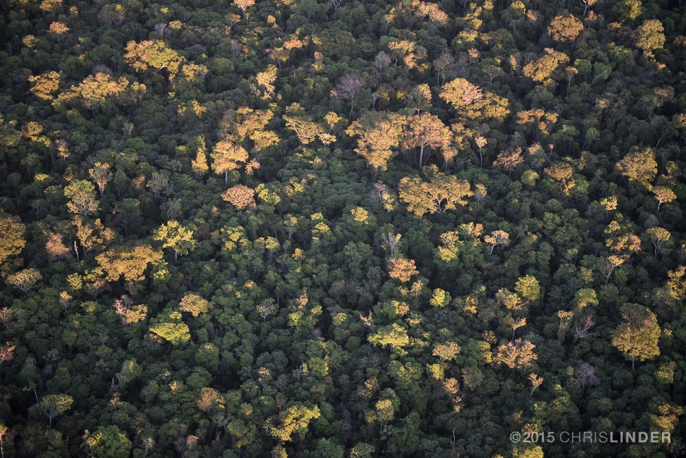 Bill fails to reach Brazil’s carbon market potential