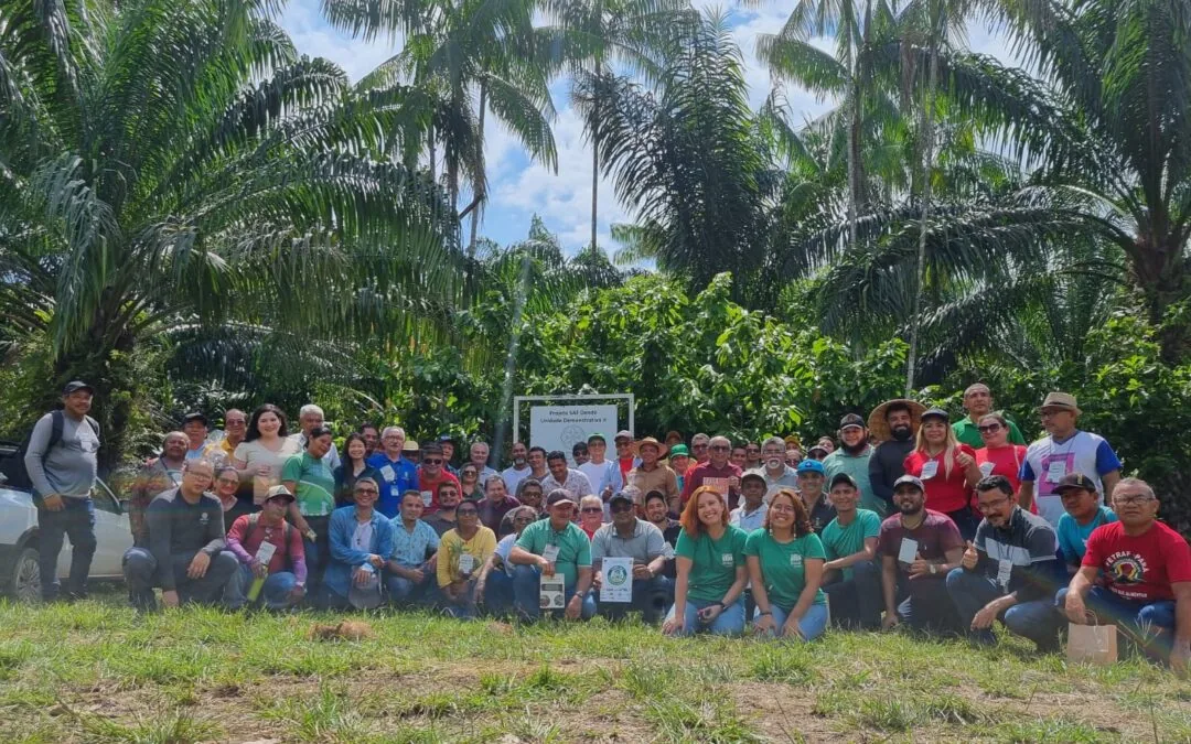 Encontro discute produção sustentável de dendê em sistemas agroflorestais