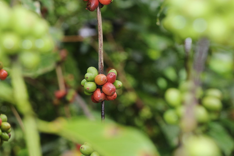 20240123-fruto-frankkramer