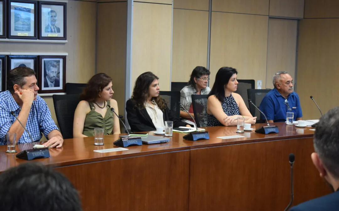 Allocation of public areas is key to curbing deforestation and land grabbing