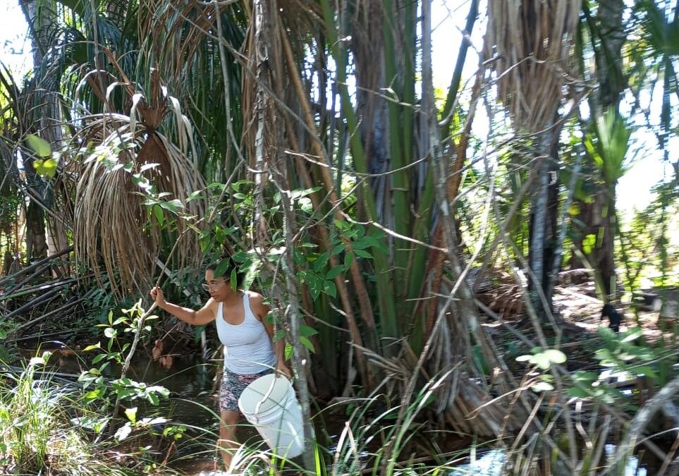 Maria de Jesus luta pela conservação das águas e pelo direito dos trabalhadores