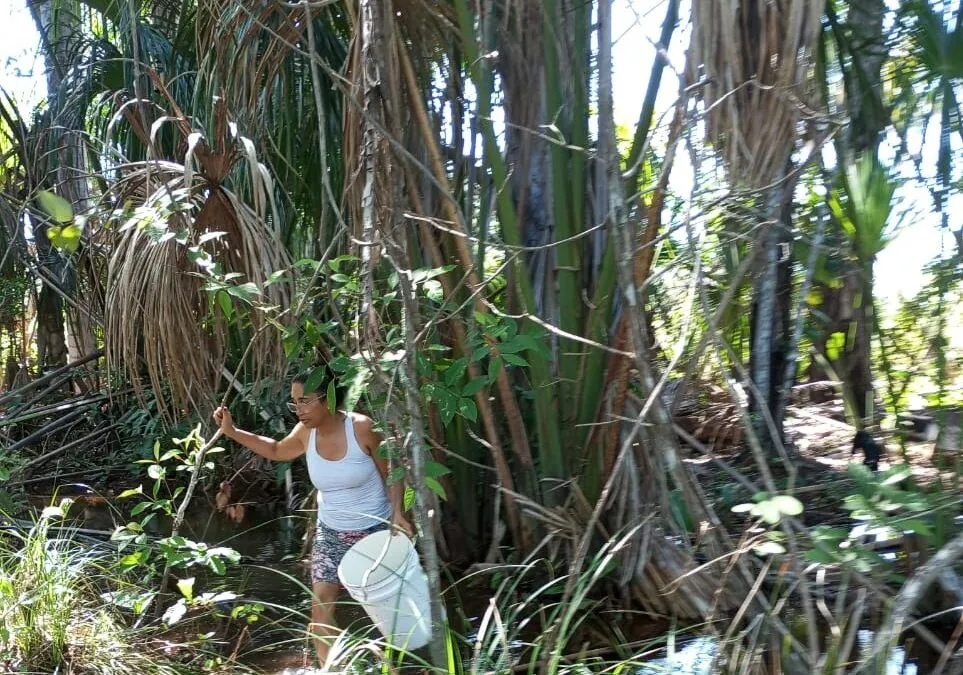 Maria de Jesus luta pela conservação das águas e pelo direito dos trabalhadores